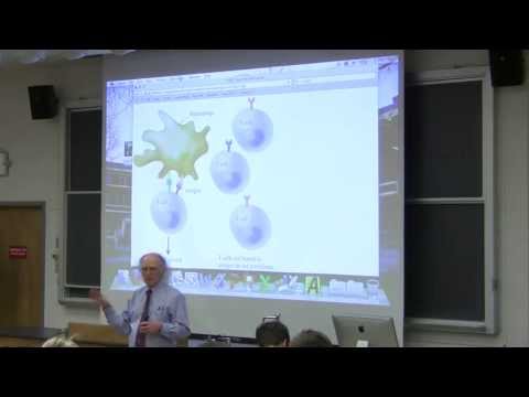 #23 Biochemistry Lecture (Immunology and Energy) from Kevin Ahern's BB 350