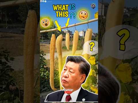 Turning Loofah Into Art 🎨 #assamtezpur #facts #gta5_fivem_tricks #ai #shorts