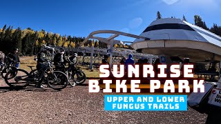 Upper and Lower Fungus | Sunrise Bike Park | Arizona Mountain Biking