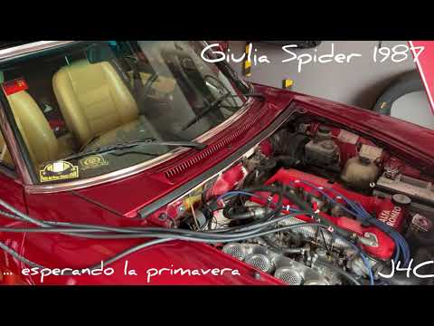Alfa Romeo Giulia Spider 1987 carburado y esperando a la primavera