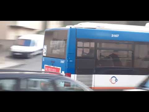 STCP NO LINHA 805 VEÍCULOS 3141, e 3167, 3183, Às 17:15  e 17:45  e 18:15