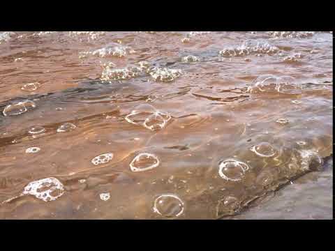 Bubbles in the river 