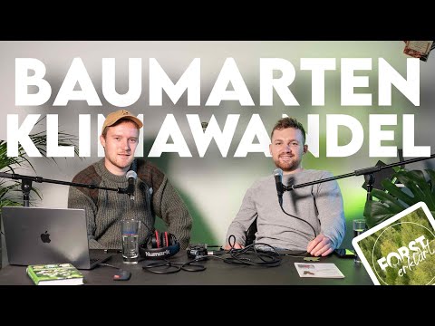 Which trees do we need in the face of climate change? Forestry FAQ #10 - Forestry explained