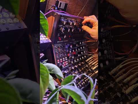 a jam on three semi-modular #Moog. It turned out to be something like steampunk trip-hop.