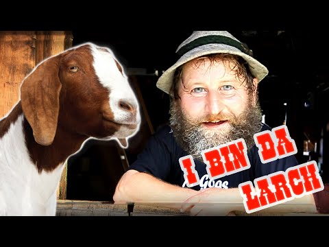 "I bin da Larch" Best of Austropop, Volksrock und Alpenrock (I am from Austria)