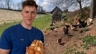 Micro Farm Life: Daily Eggs, Beekeeping, Outdoor Cooking & Gardening
