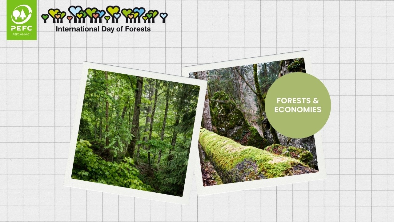 How forests power jobs, livelihoods and economies