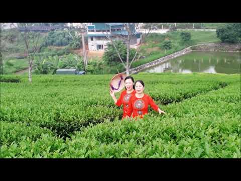 QUÊ EM MIỀN TRUNG DU