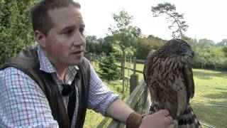 Fieldsports Britain – Birr Castle Game Fair + hawking rabbits (episode 93)