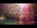 Instant Calm, Beautiful Relaxing Sleep Music, Dream Music (Nature Energy Healing, Quiet Ocean) ★11