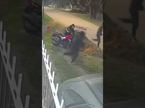 CASI LO MATAN POR UNA MOTO