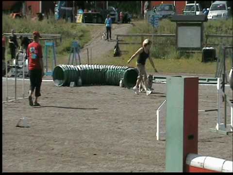 Hertta, hyppyrata 02082009