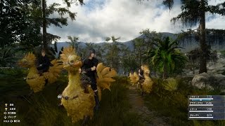 Video gameplay - Utilizzo dei Chocobo e pesca