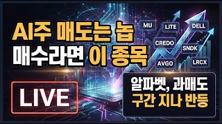 [미국개장] AI주 매도는 놉, 매수라면 이 종목..월가가 꼽은 종목｜오라클, 수주잔고 감소에 목표주가 하향｜일라이릴리, 알파벳    등 📢미국증시 브리핑 (260915)