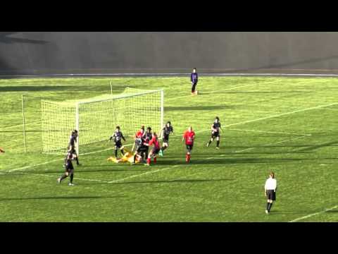 Résumé D1 Féminine ESOF La Roche - E.A.Guingamp