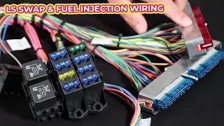 EFI Wiring Harness GM LS3 Gen IV, Throttle-by-Wire - video thumbnail 2