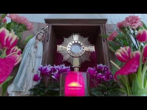 Live-Eucharistic Adoration from 3ltv Vienna, Austria