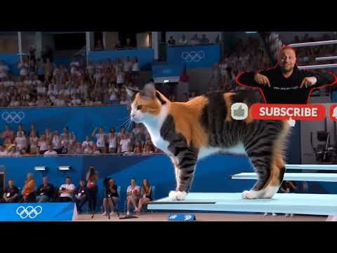 👍👍👍👍👍👍👍👍👍👍👍👍👍👍👍👍👍👍like😭😭😭🔊🗿