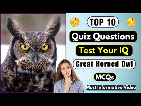 Test Your Wits With 10 General Knowledge Questions About Great Horned Owls | Helian GK Quiz