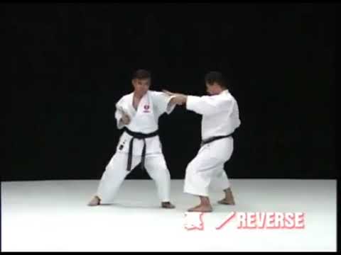 Heiku  Kata & Bunkai - Ryuei ryu