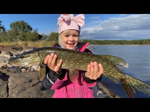 Kalastuksessa Ei Ole Ikärajaa - Huikea Kalastuspäivä 4-vuotiaan Pikkuneidin Kanssa - Kalakingi