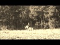 Nobody sees - Nobody knows 