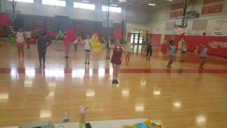 Danceline 2016 Flag