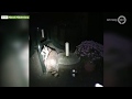 Wasbeer schuift aan om kattenbrokjes te eten