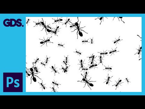 Tracing a hand drawn sketch Converting to vector artwork Ep15 19 Adobe Illustrator for Beginners