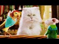 Snowbell Best Scenes In Stuart Little 2 4K