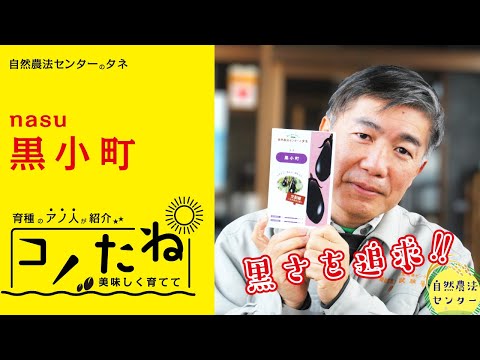 リムノディナステス・デュメリリについて詳しく解説