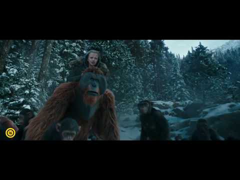 A majmok bolygója - Háború - Magyar szinkronos előzetes #2 (16)