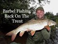 Barbel Fishing Back On The Trent