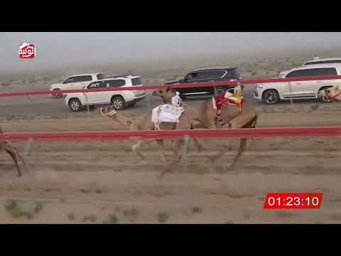 ش 5 (مكيده) لـ سالم حمد دري الفلاحي 3:03 , تمهيدي مهرجان العين 2026/07/03 فطامين سويحان
