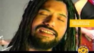 Gondwana - Felicidad