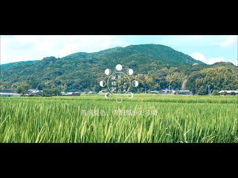 筑前町暮らしの歳時記「筑前夏色、青田風わたる頃」