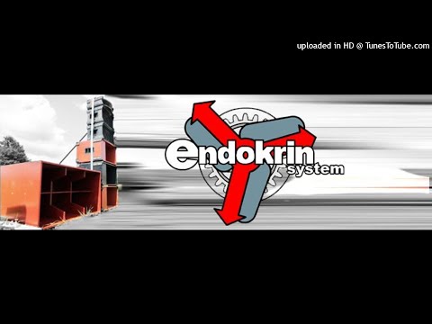 Endokrin Sound System - Live 2003