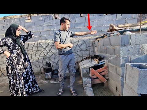 Majid's big decision to change the yard! 😳 Selling the chickens and building a new barn