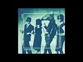 The Renegades Of Punk V​ ​A Ritmo Selvagem 2015 FULL ALBUM