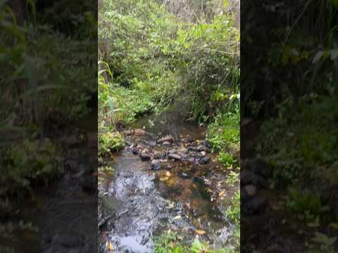 Los Cerrillos Rocha #uruguay #campo #ventas