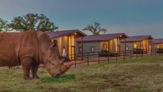 Wild overnight experience in the Texas Hill Country | FOX 7 Austin