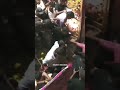 Thalapathy With His Queen Sangeetha Caring Husband Shortsyoutube Fans Thalapathyvijay Vijay