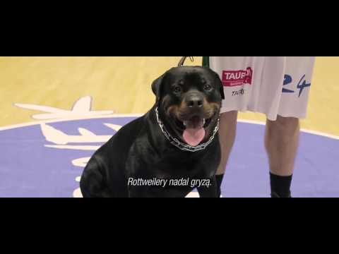 Anwil Włocławek | Robert Tomaszek | #GlodniZwyciestw