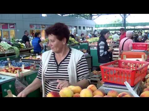 BRESKVE PORODICE GAJSIC