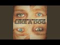 Like A Dog