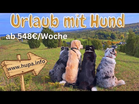 Urlaub mit Hund in speziellen Ferienhäusern