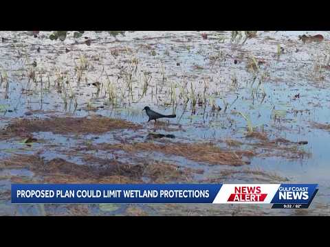 Trump administration moves to redefine wetlands protected ...