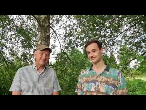 Besteuerung privater Wälder: Steuerliche Rechte und Pflichten für nichtkommerzielle Waldbesitzer