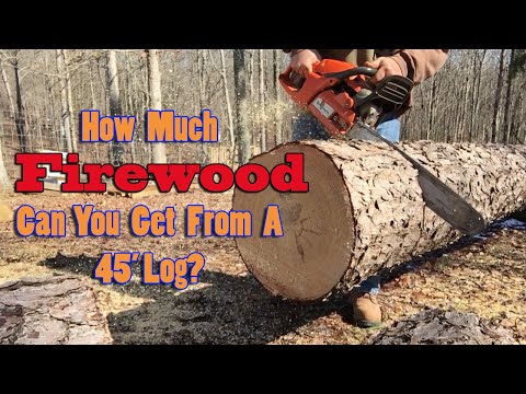 image-How many cords of wood can you get from one tree?