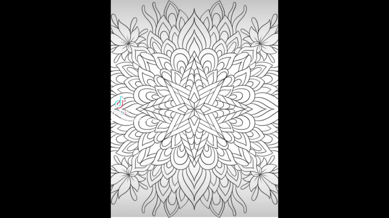 Mandala Coloring Book!